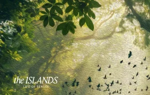 ذا ايلاند العاصمة الإدارية The Islands New Capital