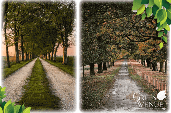 جرين افنيو العاصمة الادارية | Green Avenue